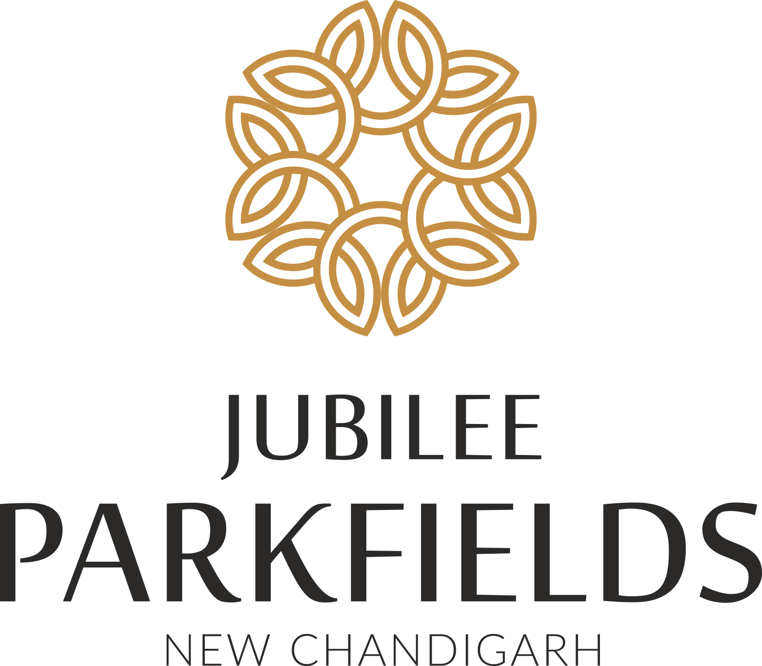 project logo